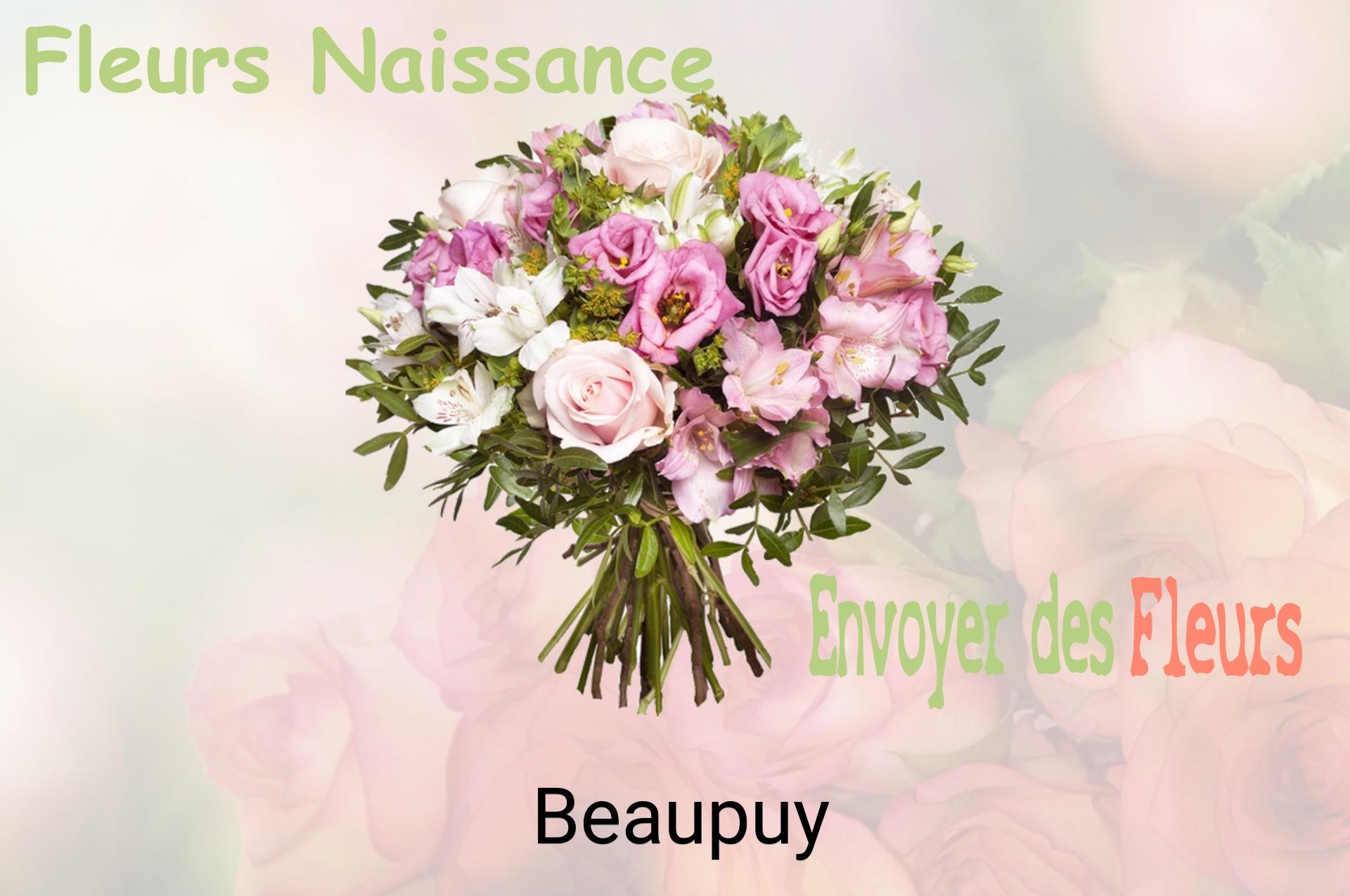 Bouquet de fleurs de naissance livré à Beaupuy